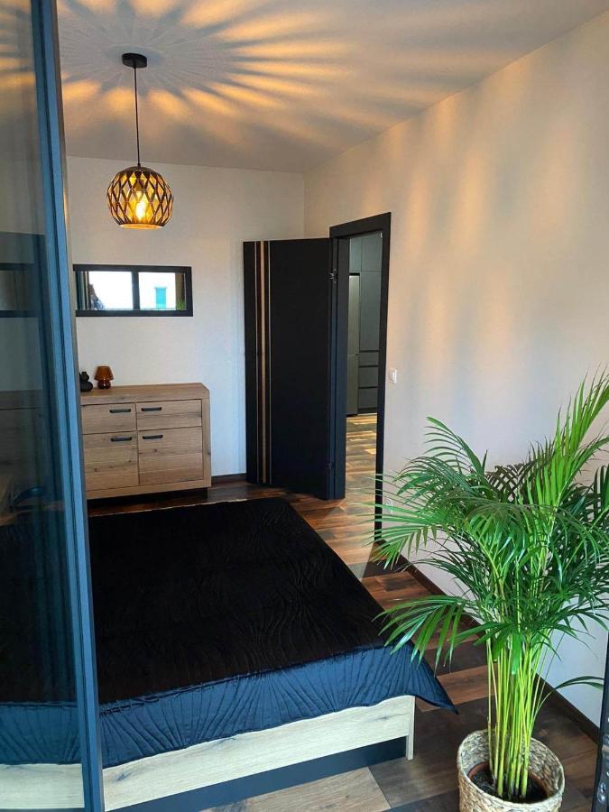 Copper Apartment Free Parking ヴロツワフ エクステリア 写真