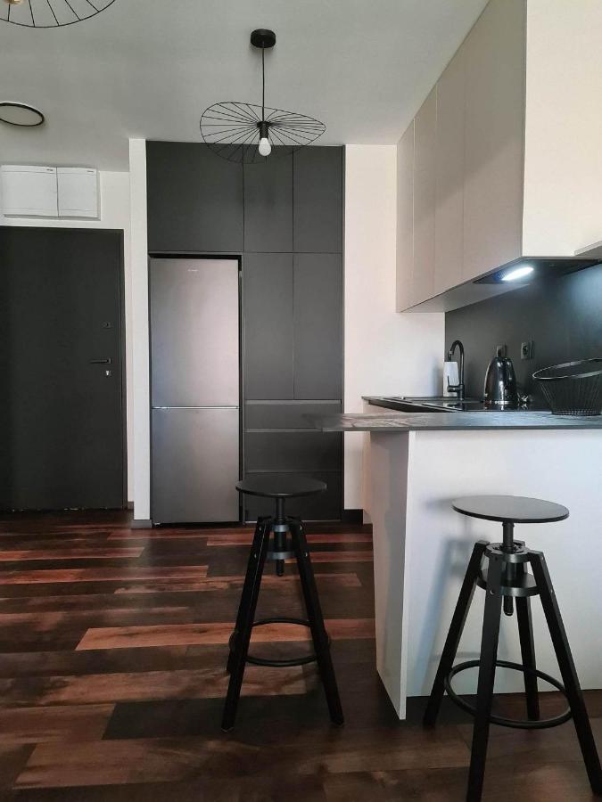 Copper Apartment Free Parking ヴロツワフ エクステリア 写真